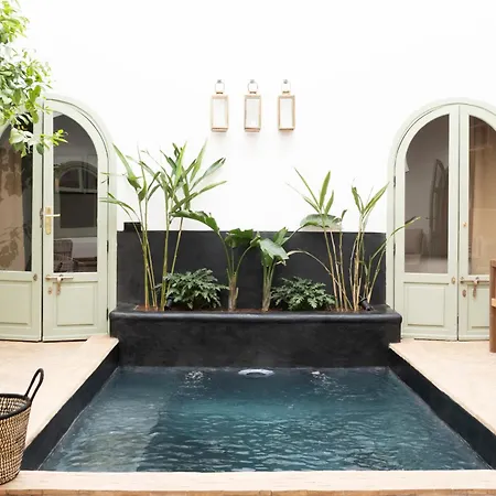 Riad Al Uzza-2